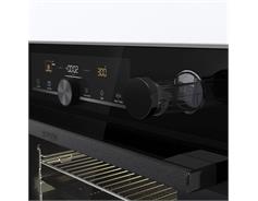 Gorenje BSA6747A04BGWI